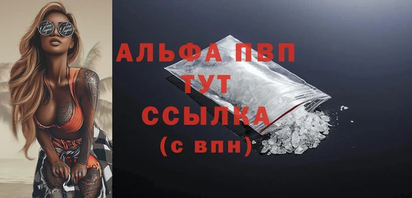 индика Баксан