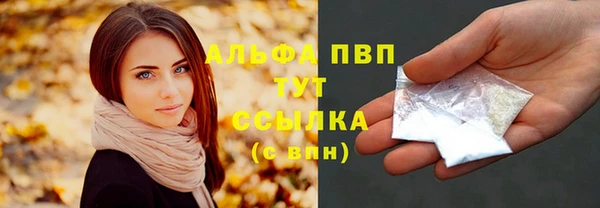 индика Баксан