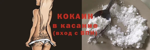 индика Баксан