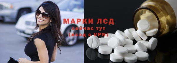 индика Баксан