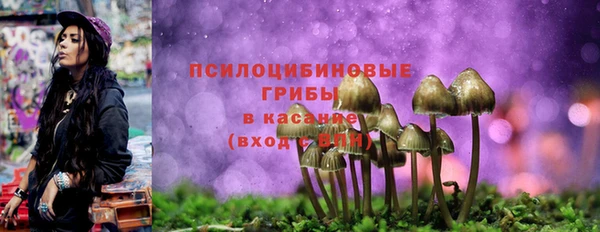 спиды Балабаново