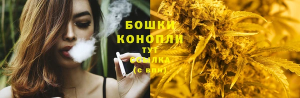 индика Баксан