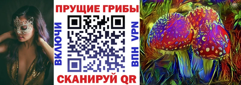 Купить где  Мелеуз  Псилоцибиновые грибы Psilocybine cubensis 